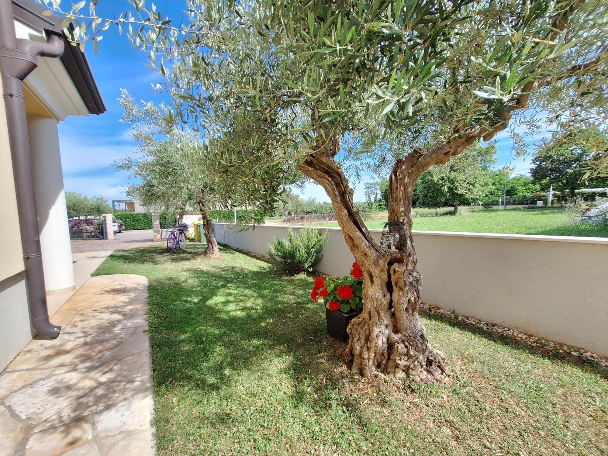 Apartmani Berber Babici Exteriér fotografie